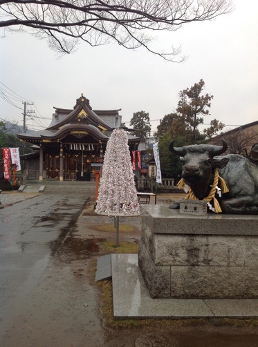 20150115132818.jpg